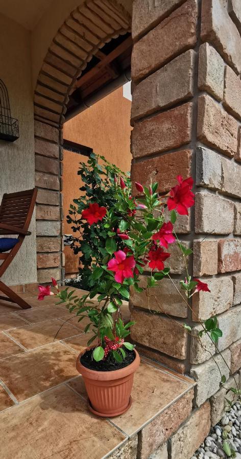 קסזטלי Mediterrania Apartment מראה חיצוני תמונה